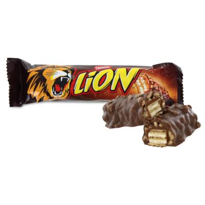 Lion 24 x 42 gr